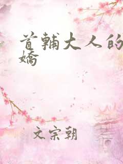 首辅大人的掌心娇