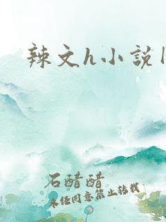 辣文h小说网