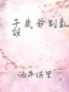 千岁爷别乱来小说