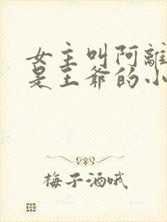 女主叫阿离男主是王爷的小说