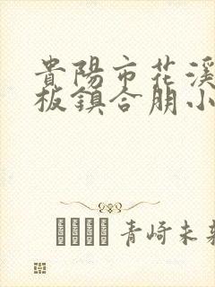 贵阳市花溪区石板镇合朋小学
