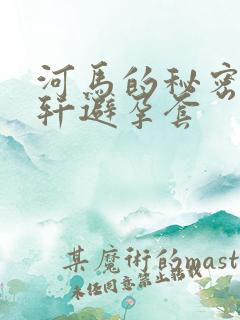 河马的秘密河文轩避孕套