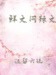 鲜文网辣文