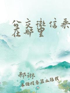 公交微信乘车码在哪里