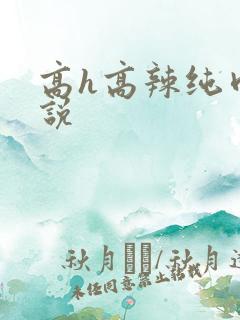 高h高辣纯肉小说