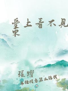 爱上看不见的房东