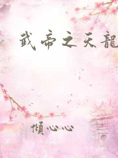 武帝之天龙八部