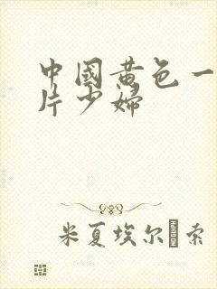 中国黄色一级淫片少妇