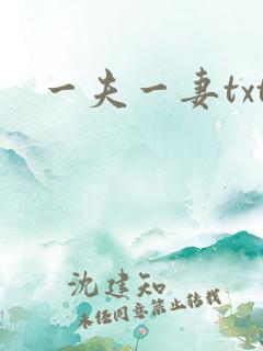 一夫一妻txt