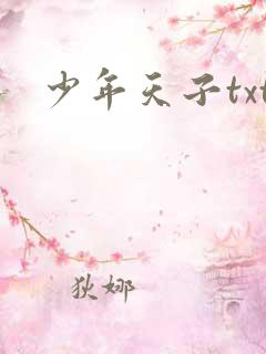 少年天子txt