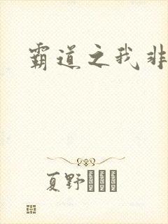 霸道之我非英雄