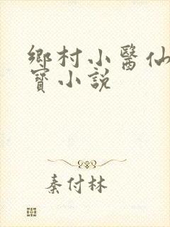 乡村小医仙赵大宝小说