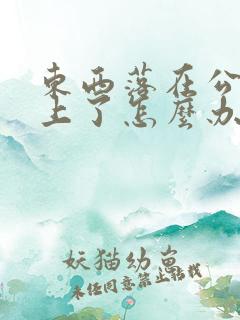 东西落在公交车上了怎么办