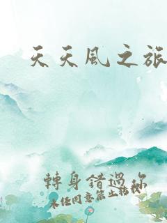 天天风之旅辅助