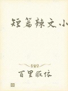 短篇辣文小说