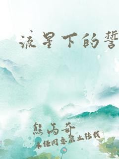 流星下的誓言