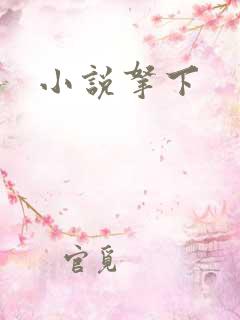 小说拿下