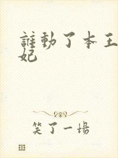 谁动了本王的悍妃