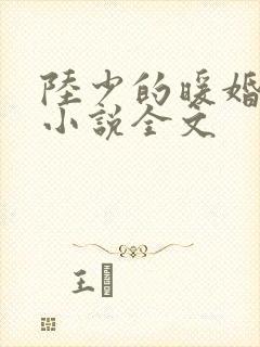 陆少的暖婚新妻小说全文