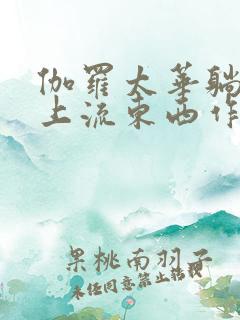 伽罗太华躺在床上流东西作业