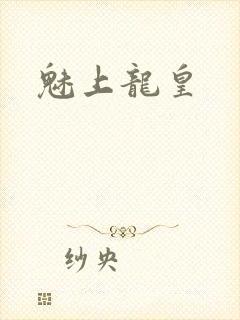 魅上龙皇