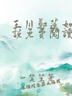 王川郑莲如的小说免费阅读全文