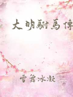 大明驸马传