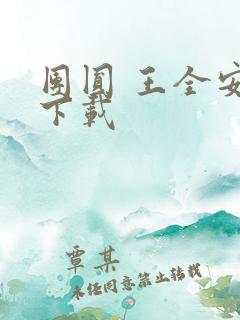 团圆 王全安 下载