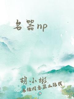 名器np