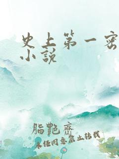 史上第一密探听小说