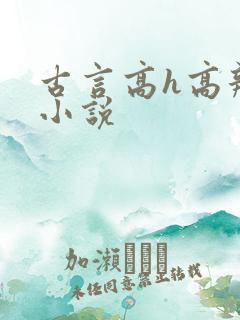 古言高h高辣文小说