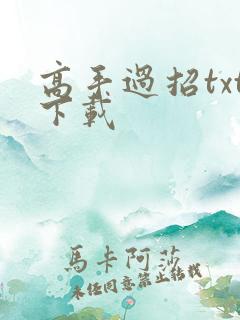 高手过招txt下载