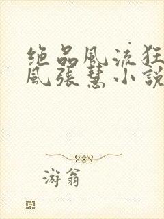绝品风流狂医林风张慧小说完全版