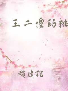 王二傻的桃花运