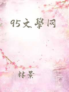 95文学网