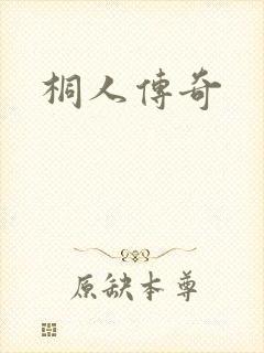 桐人传奇