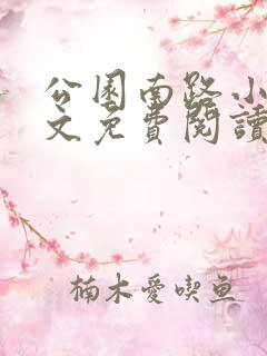 公园南路小说全文免费阅读