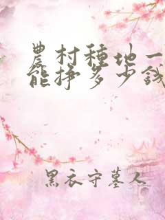 农村种地一亩地能挣多少钱啊