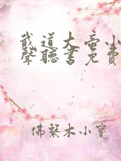 武道大帝小说有声听书免费