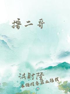 撸二哥