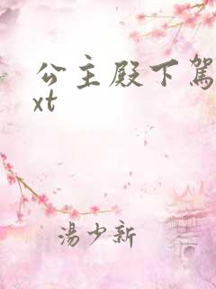 公主殿下驾到txt