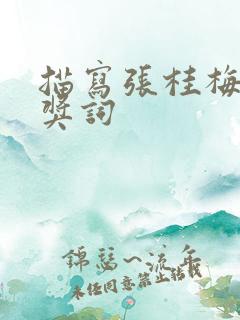 描写张桂梅的颁奖词