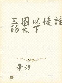 三国以后谁统一的天下