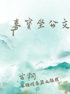 喜宝坐公交TXT