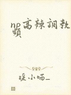 np高辣调教视频