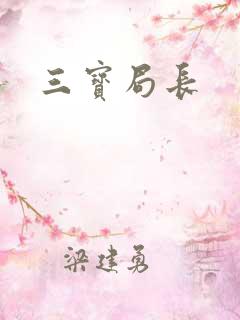 三宝局长
