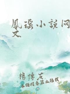 凤瑶小说网高辣文