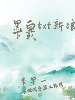 黑白txt新浪下载