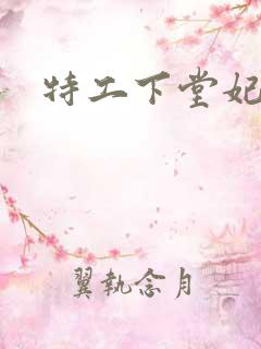 特工下堂妃
