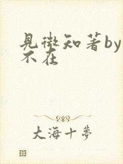 见微知著by音不在